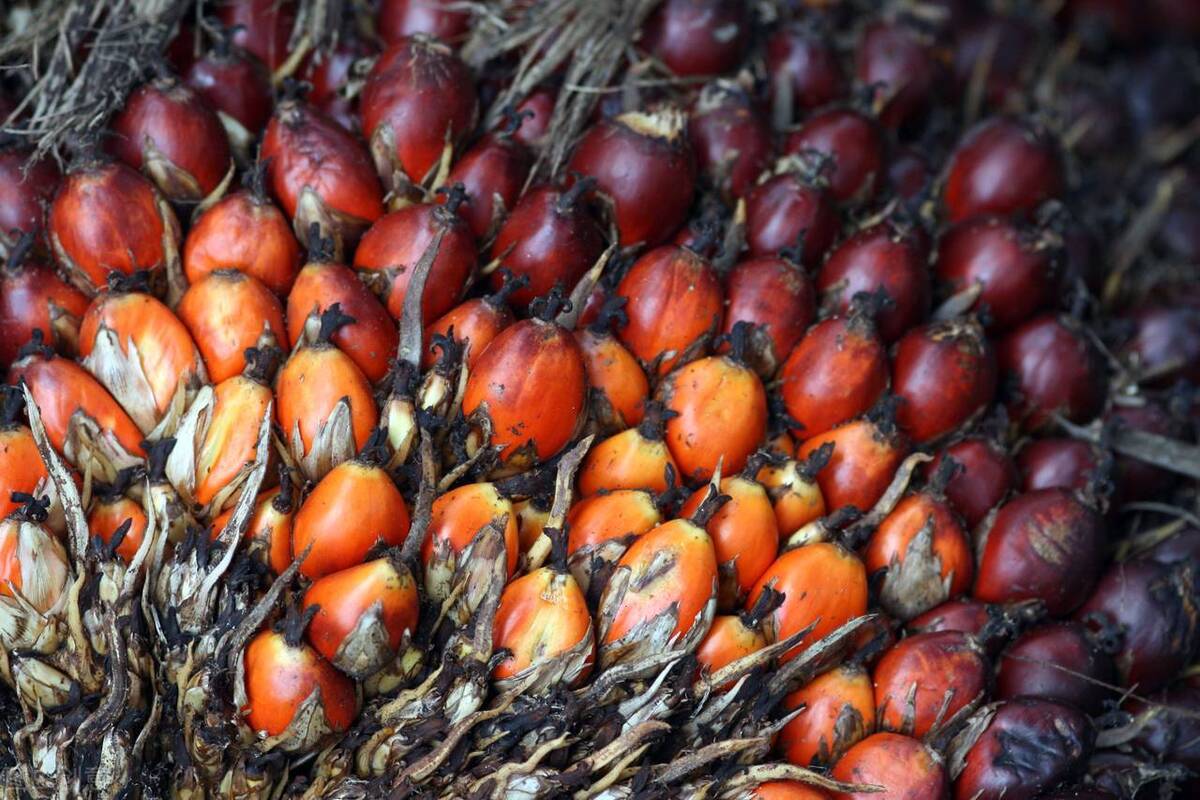 中国女足获得2300万奖金,祝贺中国女足重夺亚洲冠军