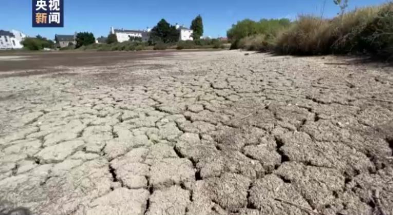 极端高温,灾难的开始…该如何拯救