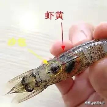 活虾要怎么处理,虾滑活虾怎么处理