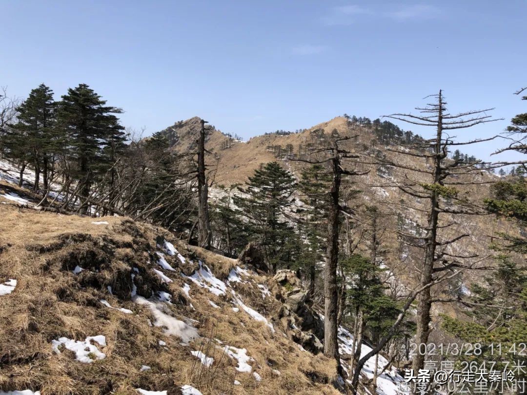 首阳山穿越大坪梁景色怎么样,大坪梁穿越到首阳山攻略