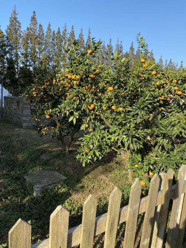 上海十一好玩的地方推荐,上海周末好玩的地方推荐免费