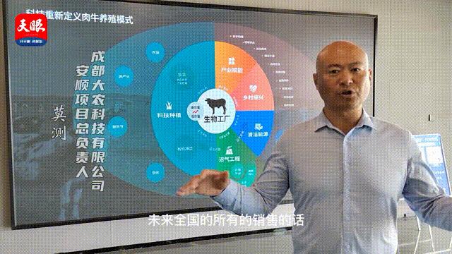 黄牛牛肉贵州,关岭黄牛有机牛肉