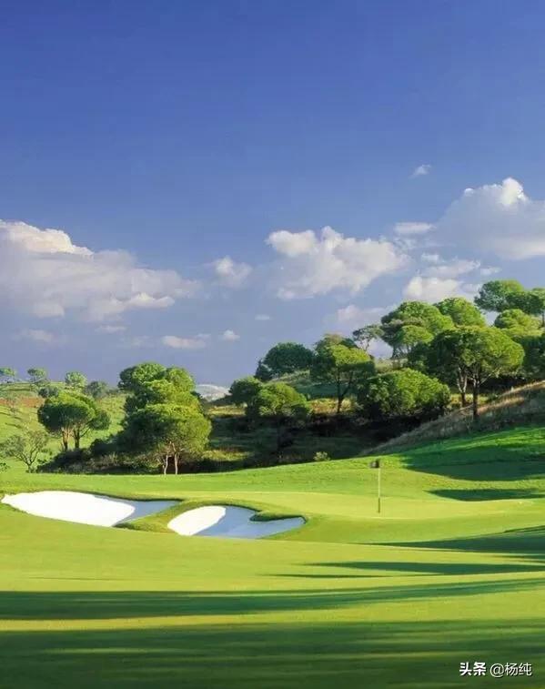 谈谈助力高考作文杨纯/文