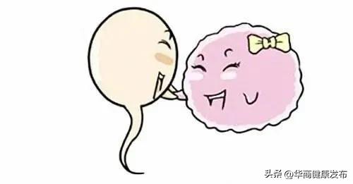 孕妇的科学怀孕必知全攻略,科学怀孕的方法叫什么方法