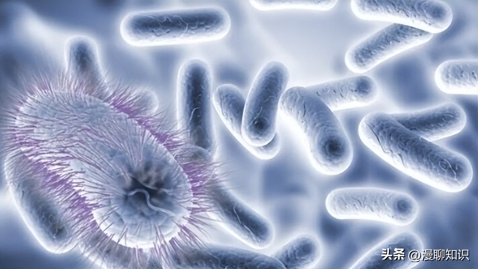 慢性复发性骨髓炎儿童案例,青少年得慢性骨髓炎能治好吗