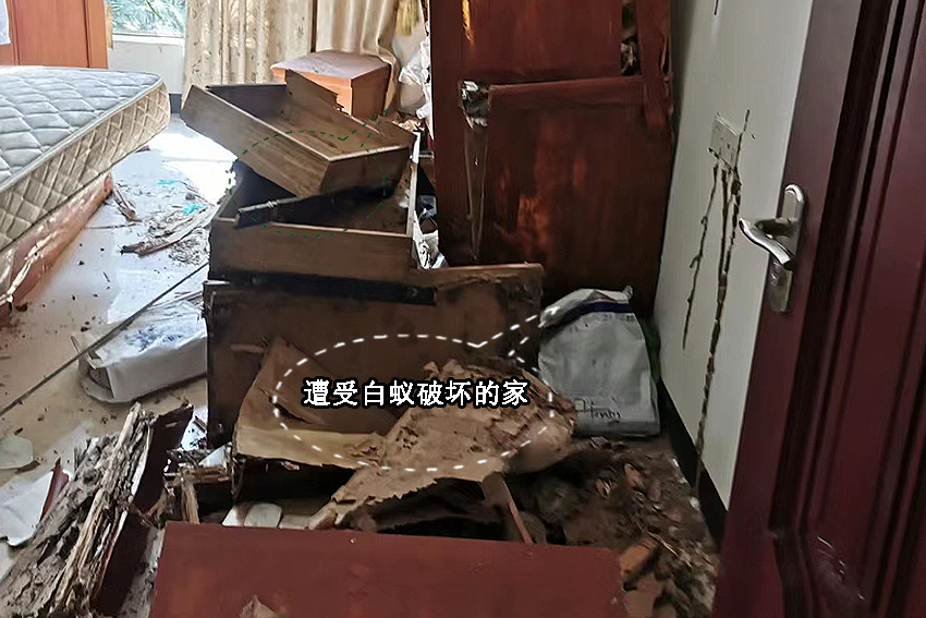 家居清洁小知识,实用的清洁小常识