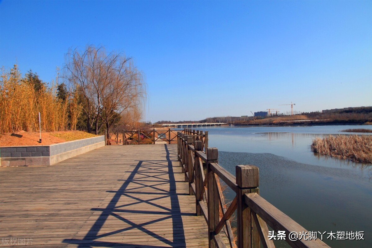 常用实木家具木材种类比较,户外防腐木的木板有哪些种类