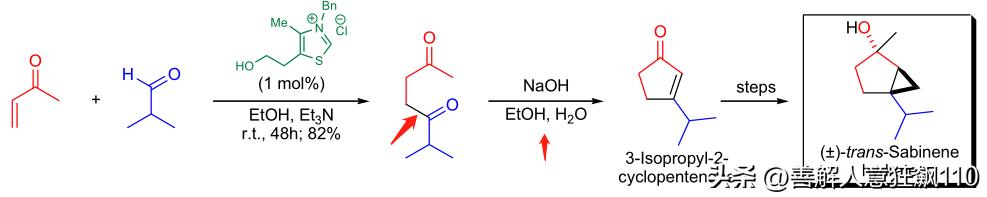 有机合成人名反应第11天:Stetterreaction