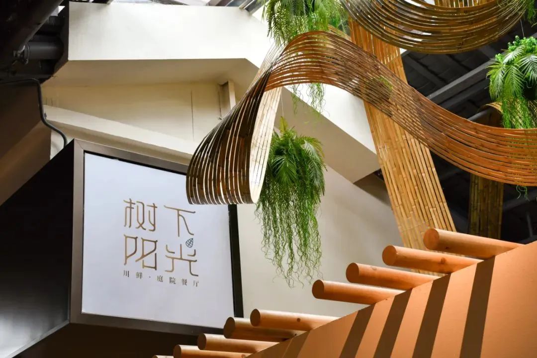 春节来光明“桥”见1958，寻找光明记忆