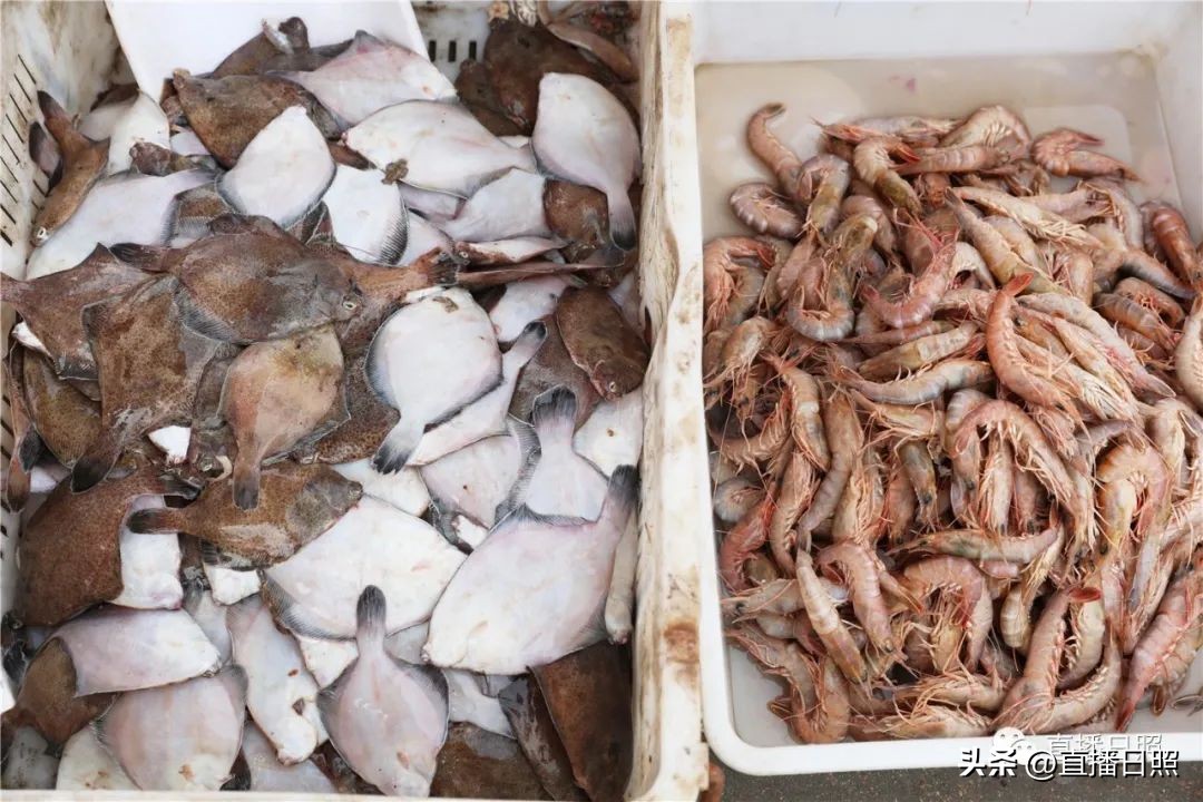 肉质紧实的海虾便宜,肉质嫩价格便宜的海鱼