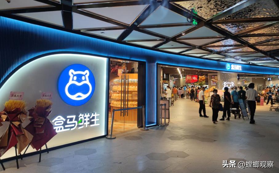 盒马重组三江购物,三江购物2023年度业绩快报