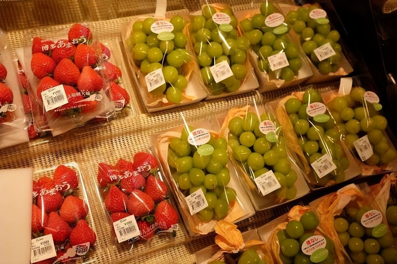 日本人在山东租了1500亩地,日本人在山东租地1500亩现状