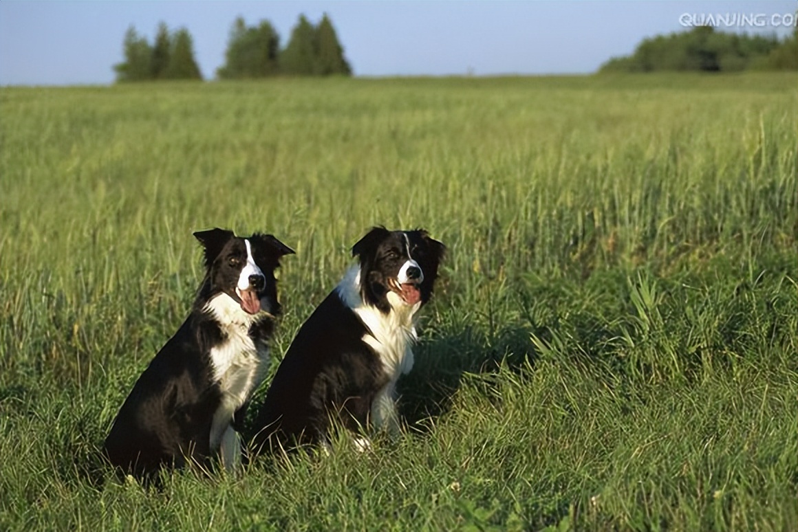 青海的发展有多快，有多好，告诉你20个事实
