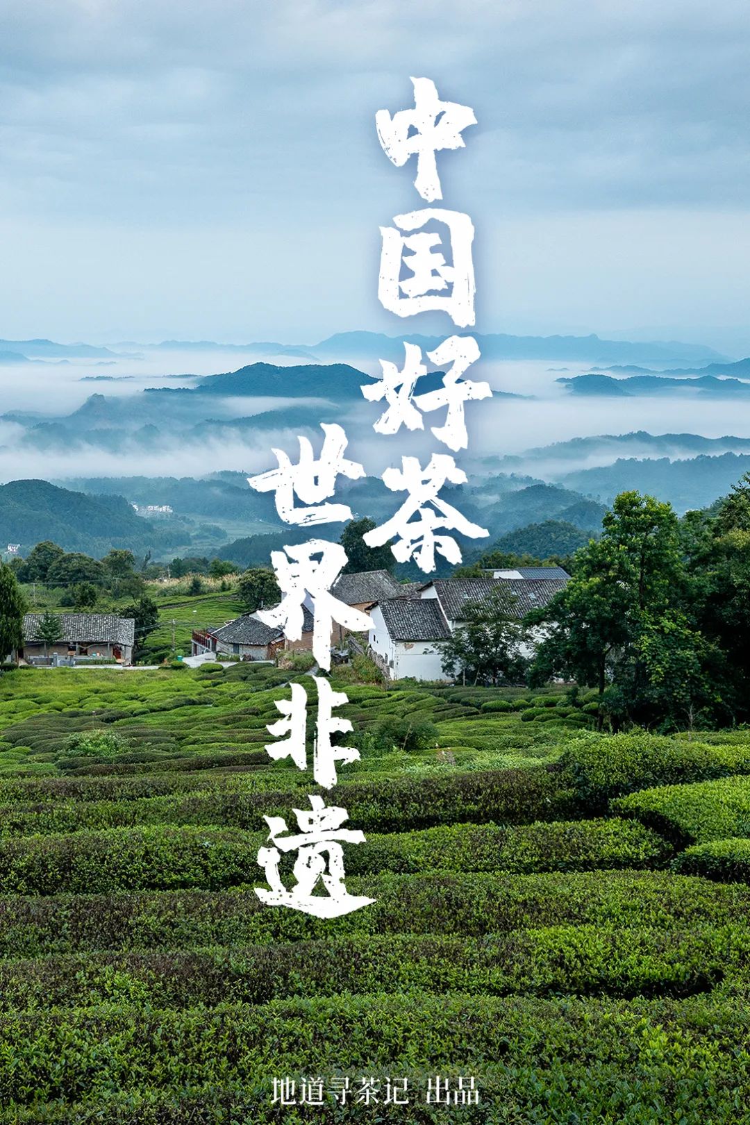 史上最全“中国传统制茶技艺及其相关习俗”展示，建议收藏！