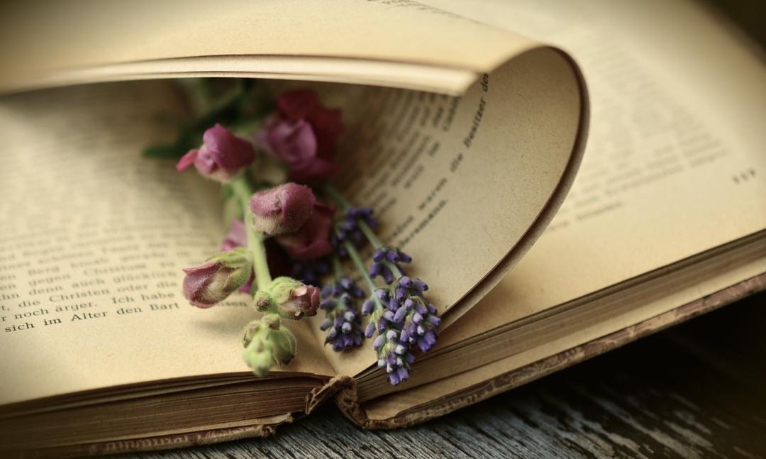 从不敢说话到勇敢表达,当众演讲有困难该怎么做