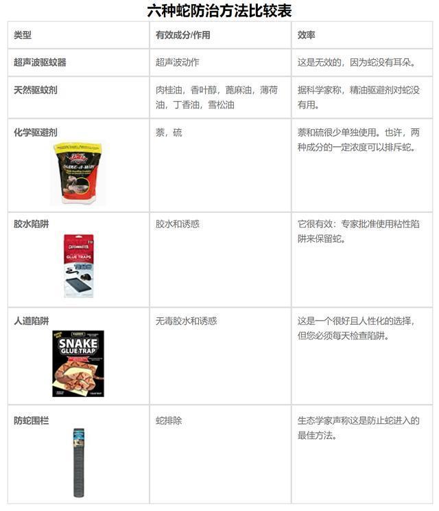 国外小伙发现蛇窝并挖出大量蛇,澳大利亚发现大量巨蛇