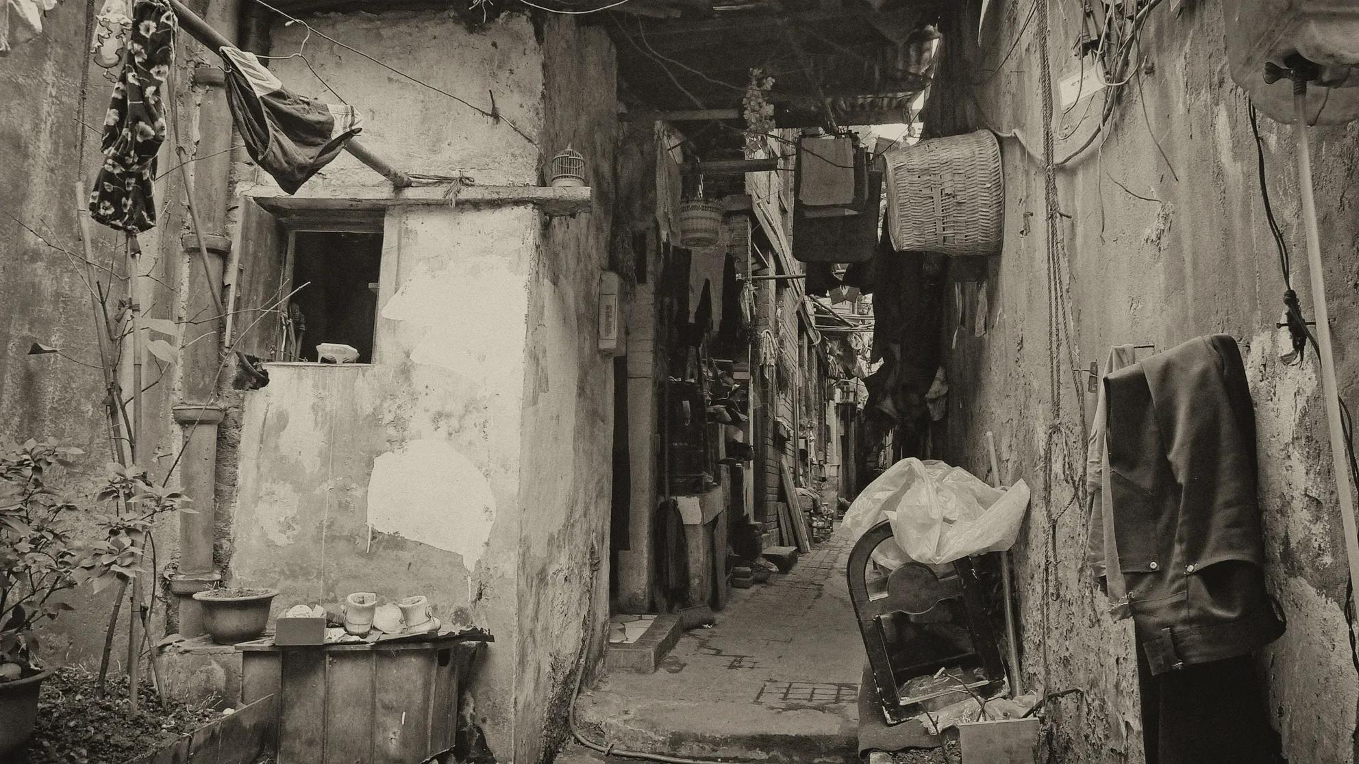 鍗佸勾鍥炵湼,鍗佸勾鍥炵湼鎬荤粨