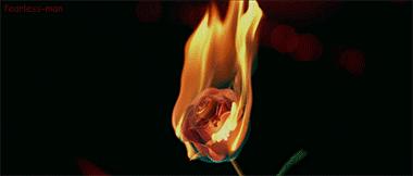 面纱掩盖着的是一个少女的贞洁，也是整个帝国的命运