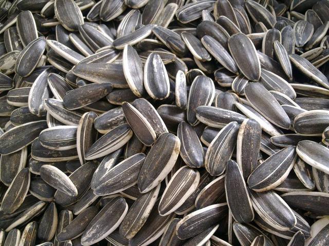 吃花生瓜子能增肥吗,瓜子与花生一个易长胖一个助减肥