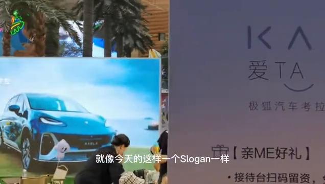 有家有娃,爱TA就要考拉