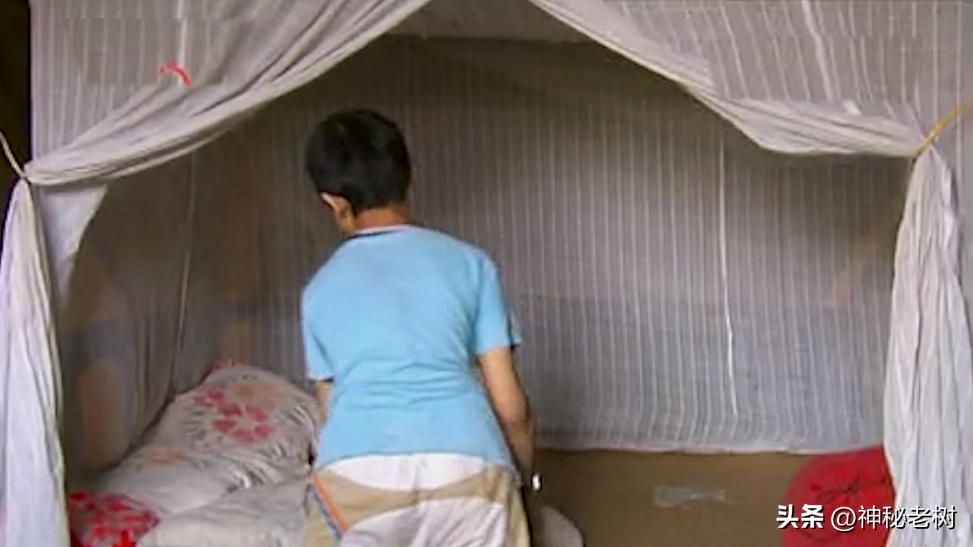 四川狠女人“只要进入我的视线,你绝对倒”