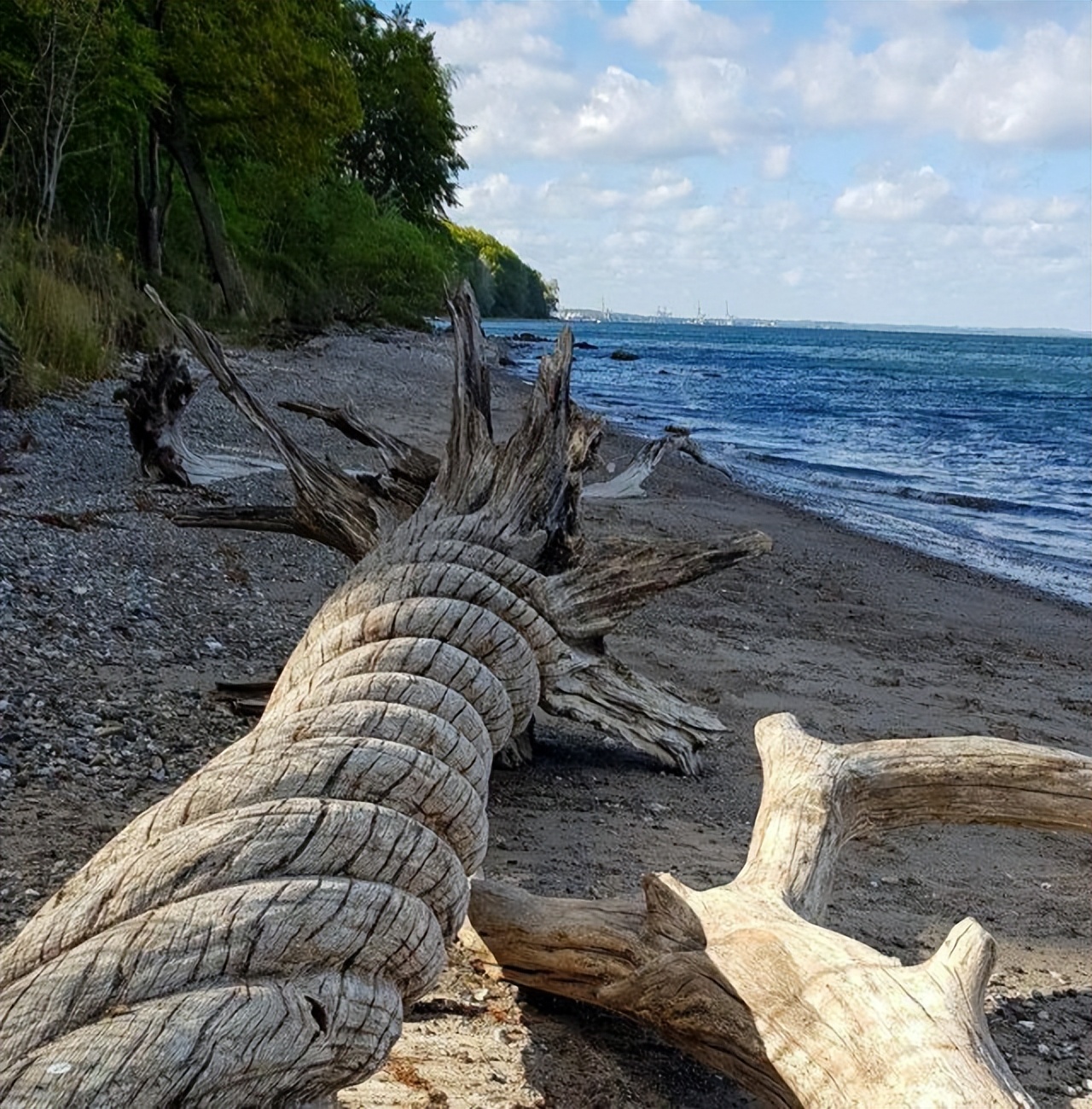 美丽的大自然的作文,美丽的大自然现代诗