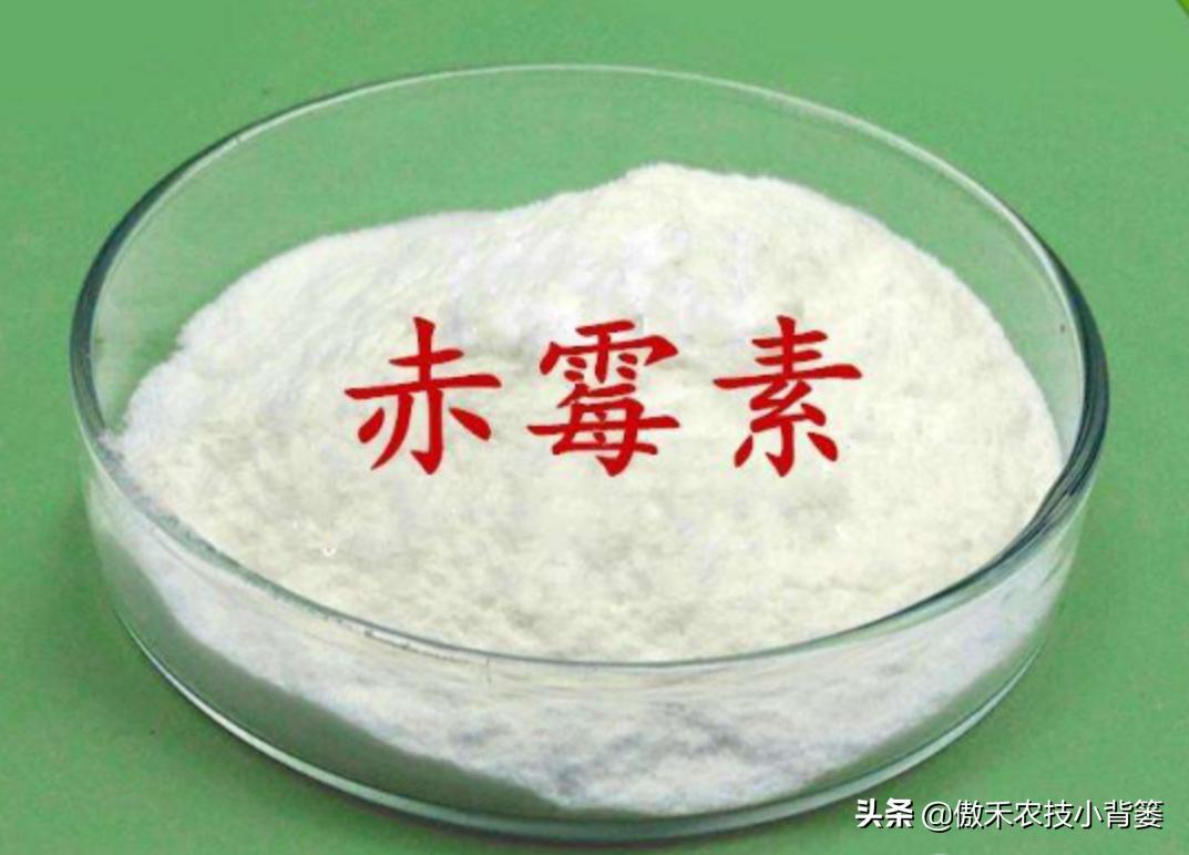 赤霉素适用于什么作物,赤霉素在不同作物上如何使用