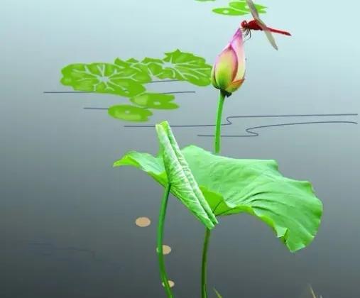 描写荷花别样红的诗句,关于荷花的诗句古诗名句