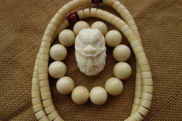 象牙果上色效果图,象牙果的正确打磨方法