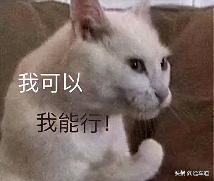 全新路虎卫士值得期待吗,最新款路虎卫士测评