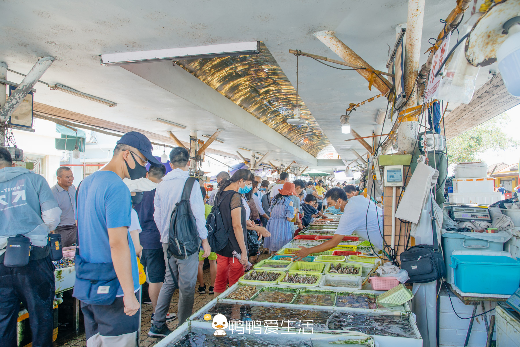 南沙十九涌渔人码头路边海鲜,广州十九涌海鲜码头