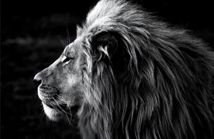 国新智创回收柜,国新智创靠谱不