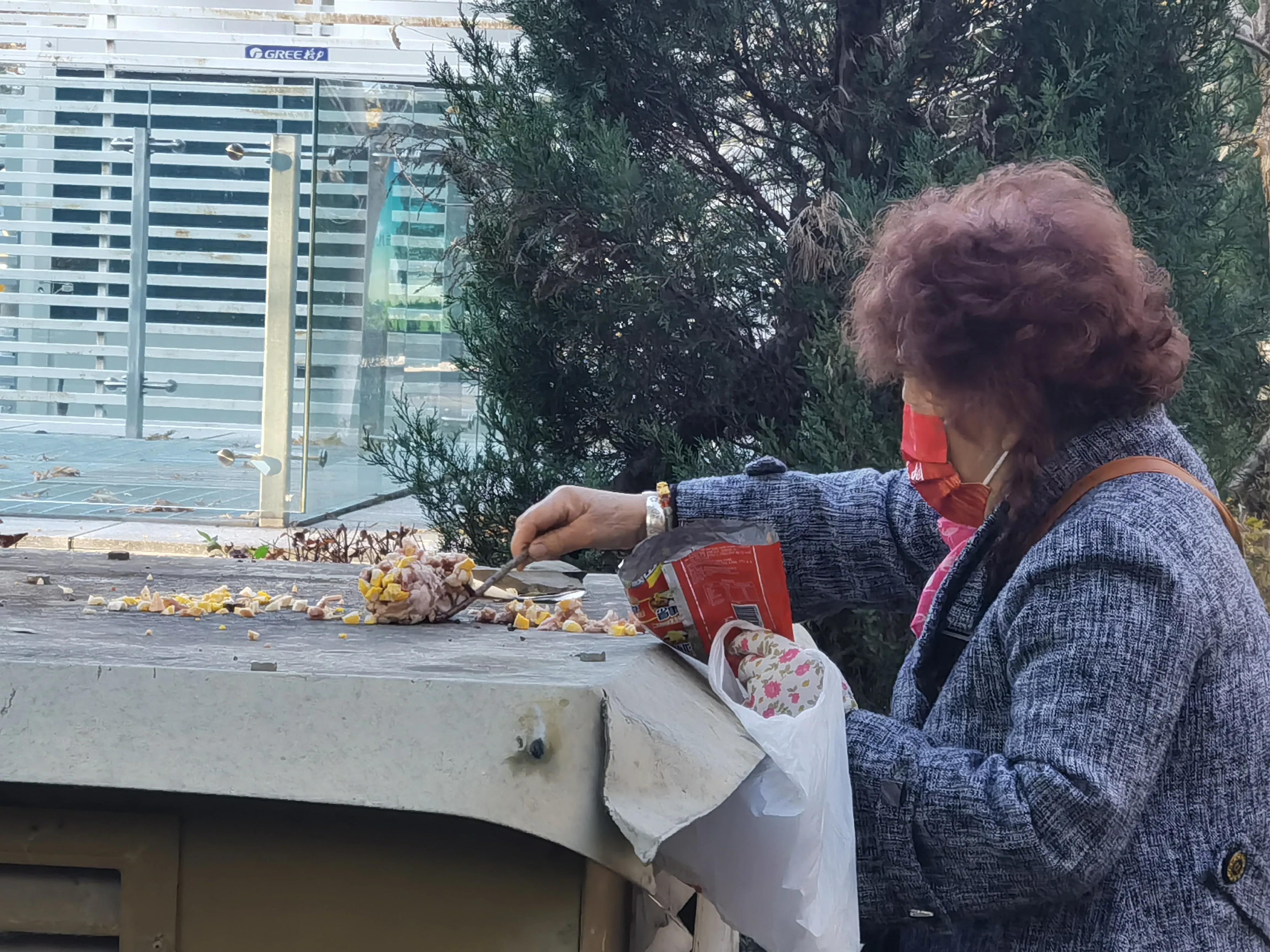 「天下奇观」喜鹊到底算什么鸟活见大妈喂喜鹊吃食真相