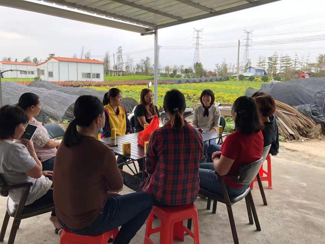 单笔线上订单突破百万，“探花姐姐”模式能全国推广吗？