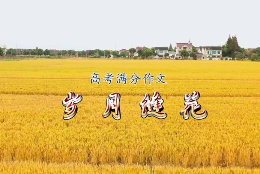 岁月缝花高考满分作文,惊艳唯美的高考满分作文13篇