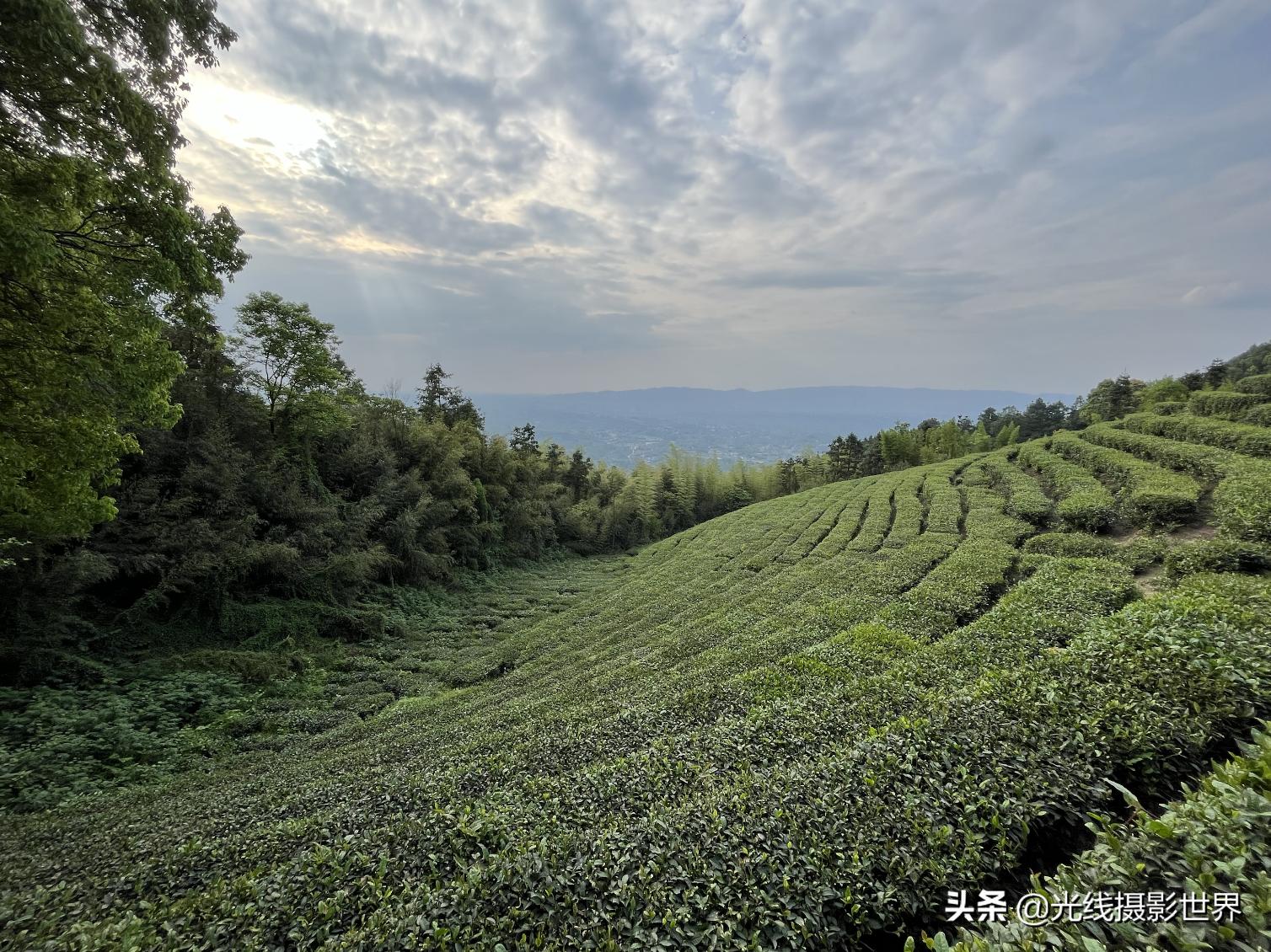 永川茶山竹海风景区门票优惠政策,永川茶山竹海2021年旅游日免费吗