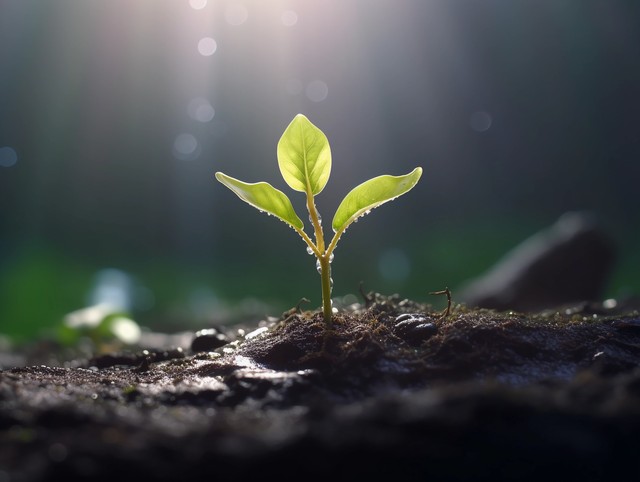 正能量美食创业故事分享,美食创业故事分享