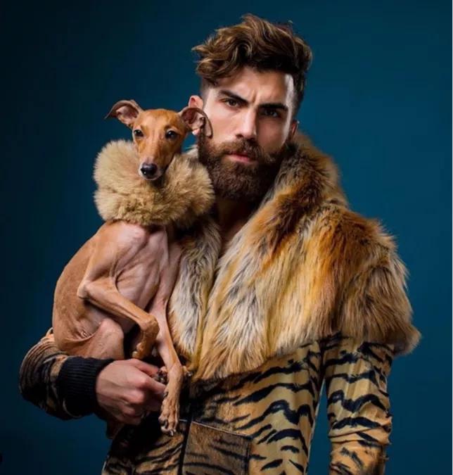 一只流浪狗被收留后成功的逆袭了,一只被遗弃狗狗的逆袭之路