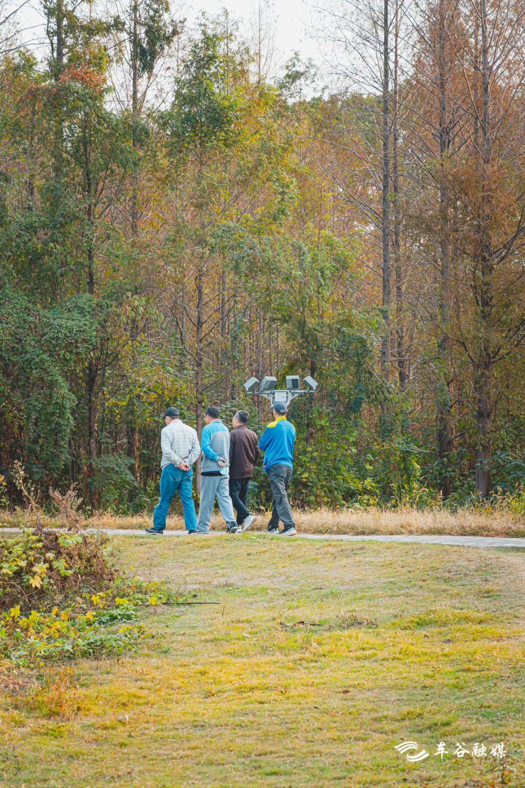 秋日暖阳骑行绿道,骑车绕城绿道值得打卡的推荐