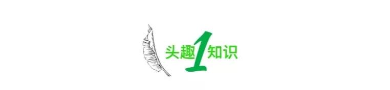 女孩买榴莲被老公批评,买榴莲被骂了