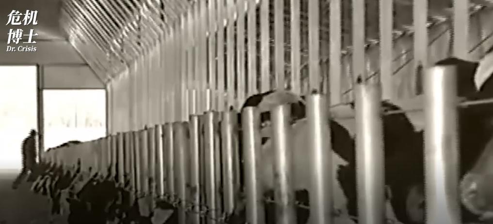 蒙牛跟伊利之间的商战,蒙牛伊利谁才是中国乳品的老大