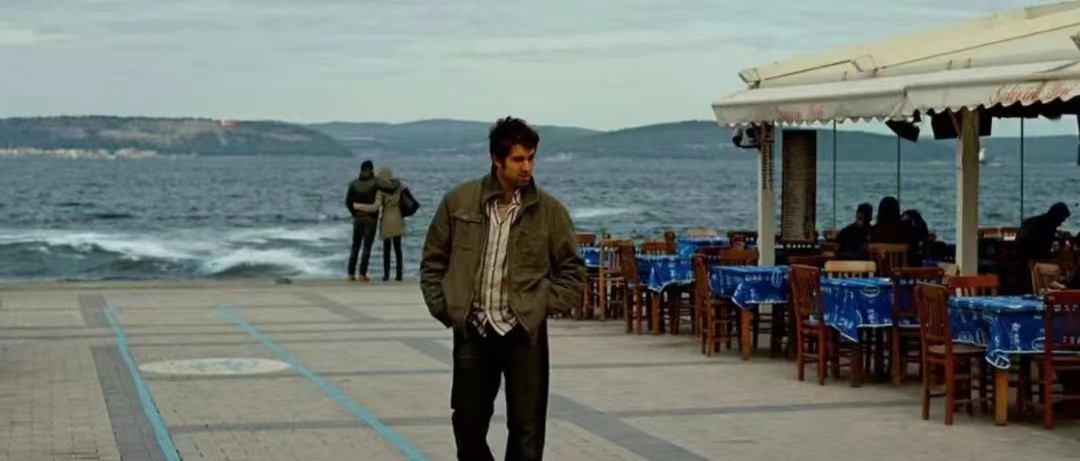 野梨树完整版免费观看,关于野梨树的电影