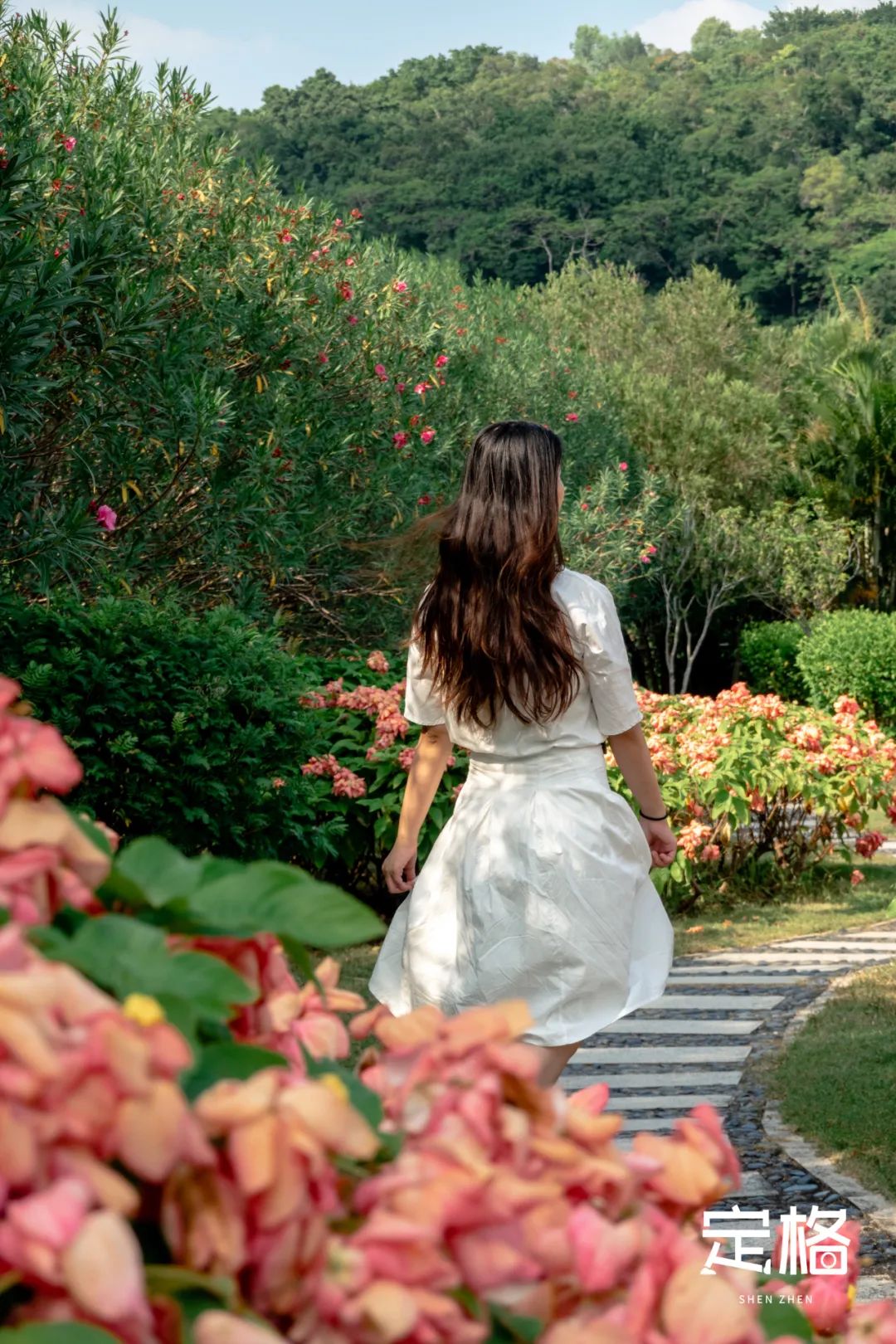 深圳湾流花山花海,深圳蝴蝶谷花海图片