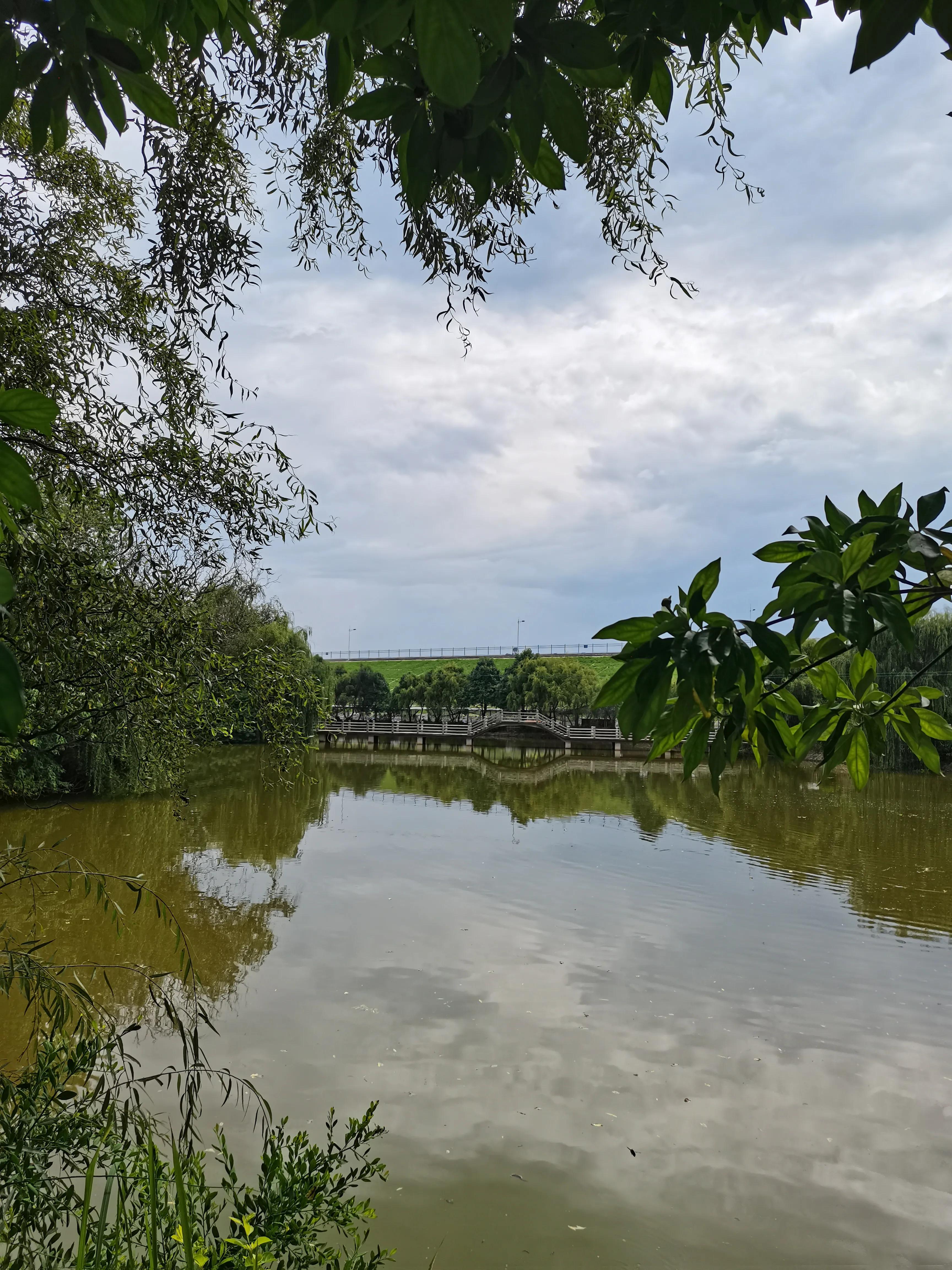 株洲附近休闲度假好去处,休闲度假好去处桥头莲湖荷花盛放