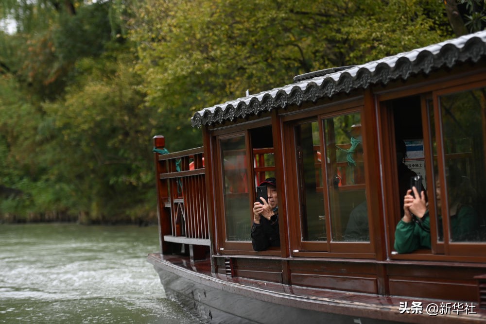 湿地之美惊艳了世界,湿地之美在什么地方