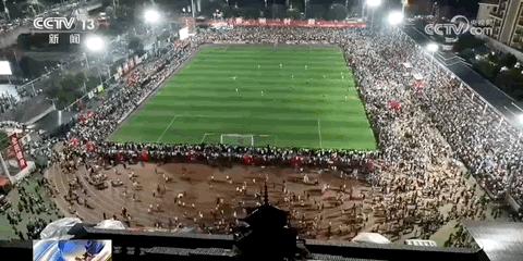 夏夜的一万种可能标题,夏夜的一百种可能