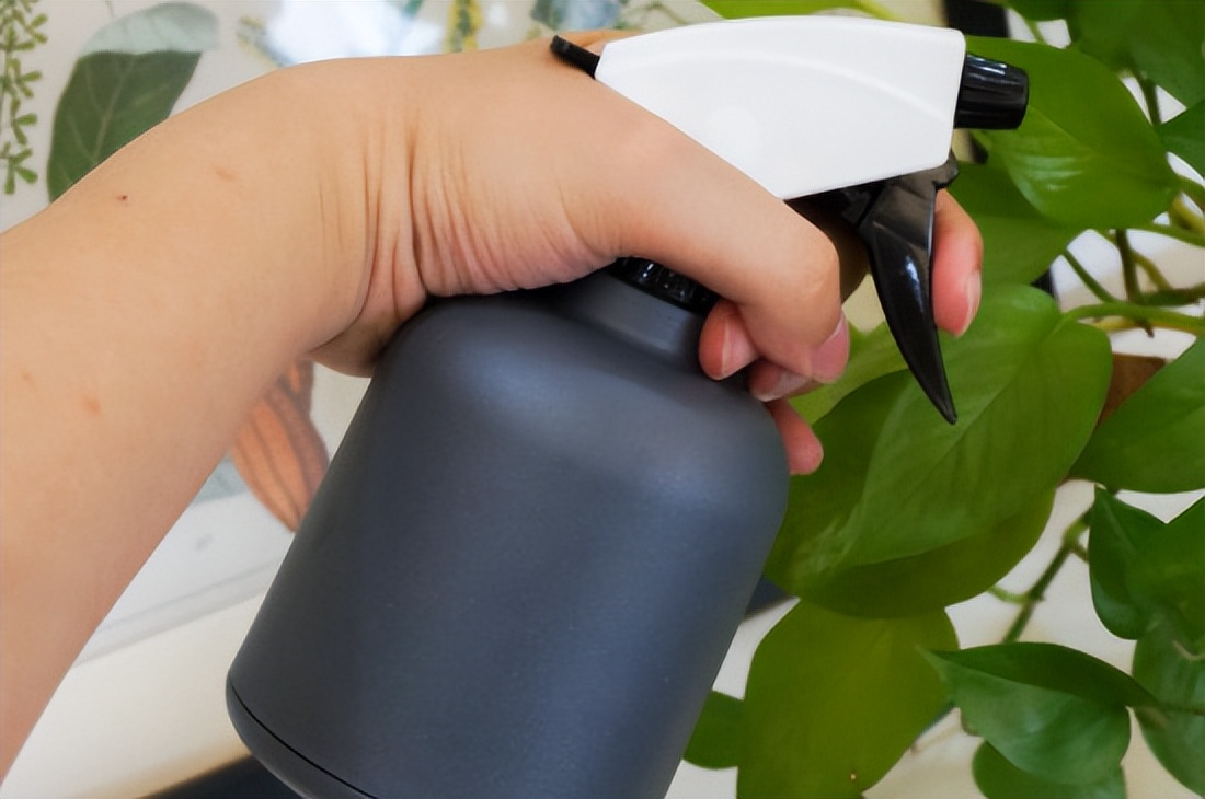 烟灰水可以浇花不,烟灰水可以浇兰花吗