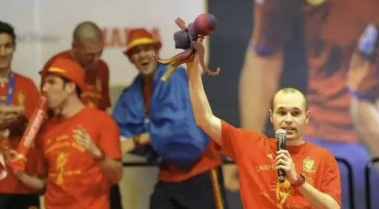 世界杯预言懂球帝,章鱼保罗怎么预言世界杯