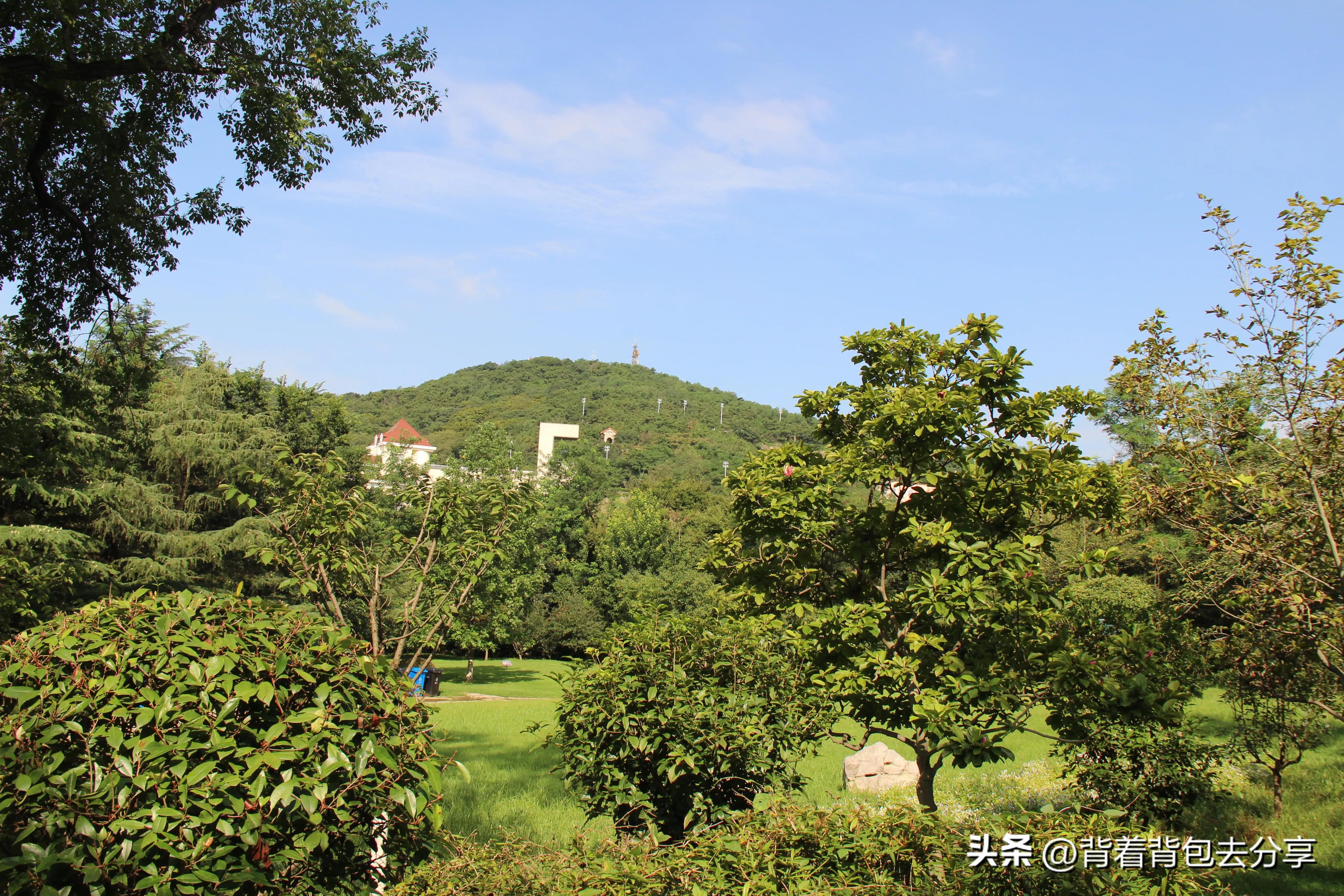 青岛大熊猫动物园8.5元门票预约,青岛动物园8.5元门票预约有熊猫吗