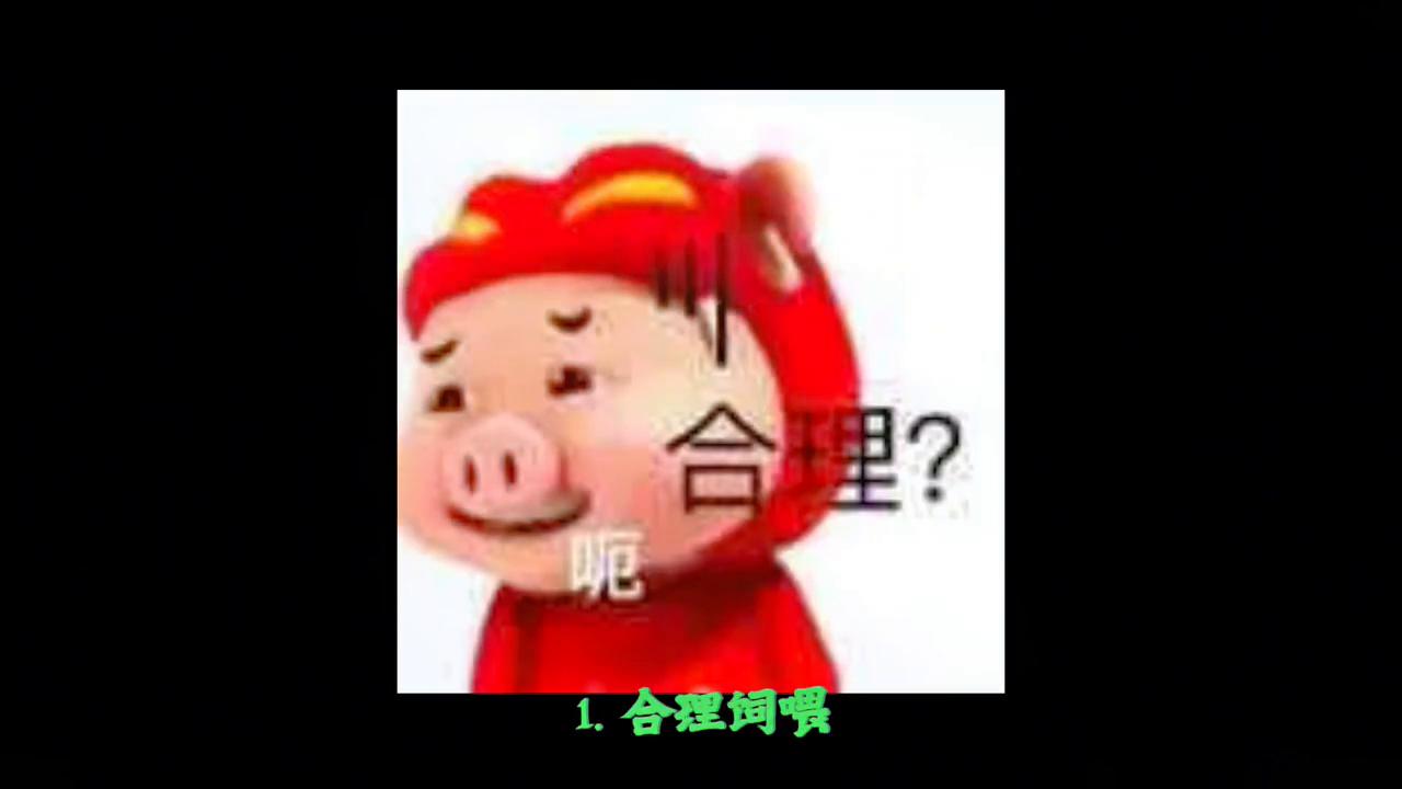 育肥羊快速育肥有方法,肉羊育肥的黄金9条关键技术